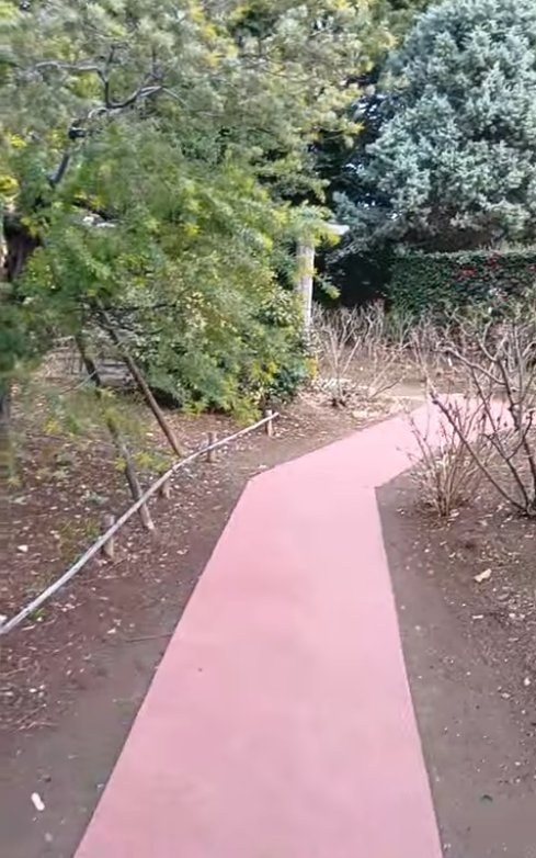 千葉県野田市 公園 ゴムチップロール施工後（曲線通路）