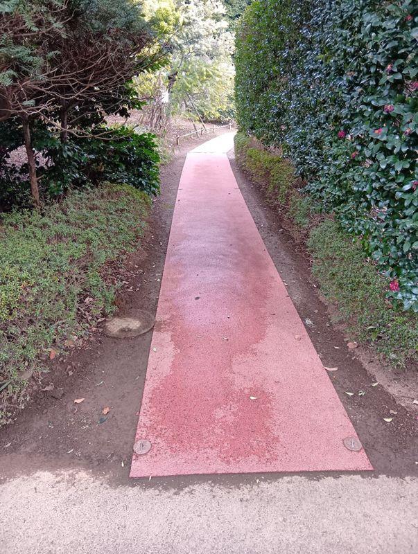 千葉県野田市 公園 ゴムチップロール施工後（園内通路）