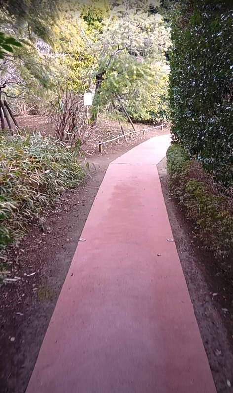 千葉県野田市 公園 幅広通路全景